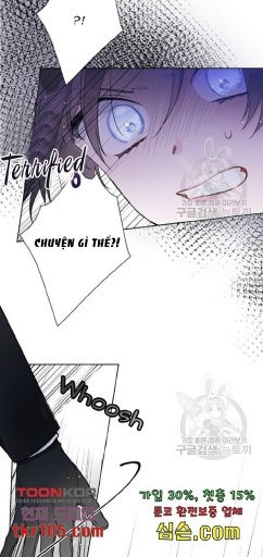 cách hiệp sĩ sống như một tiểu thư chapter 61 110