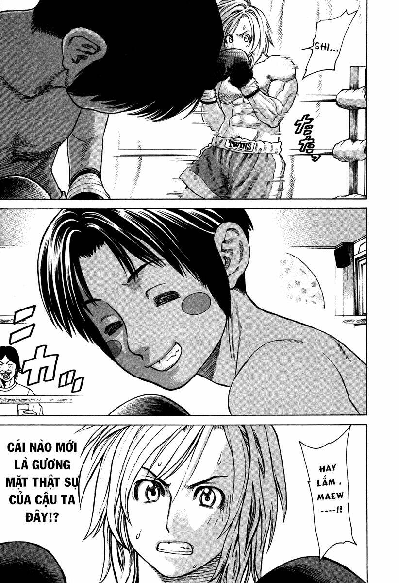 stop!! hibari-kun! chapter 12 15