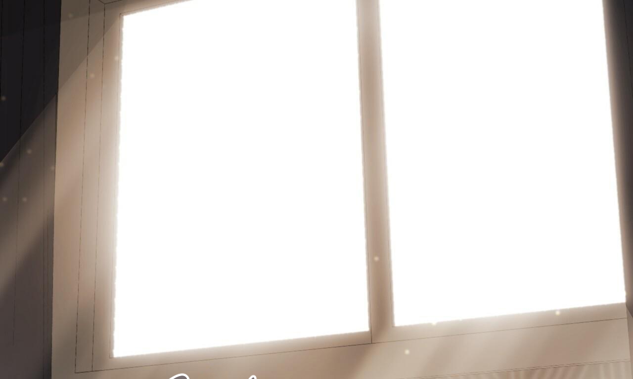 những chú thỏ của hapypy chapter 56 3