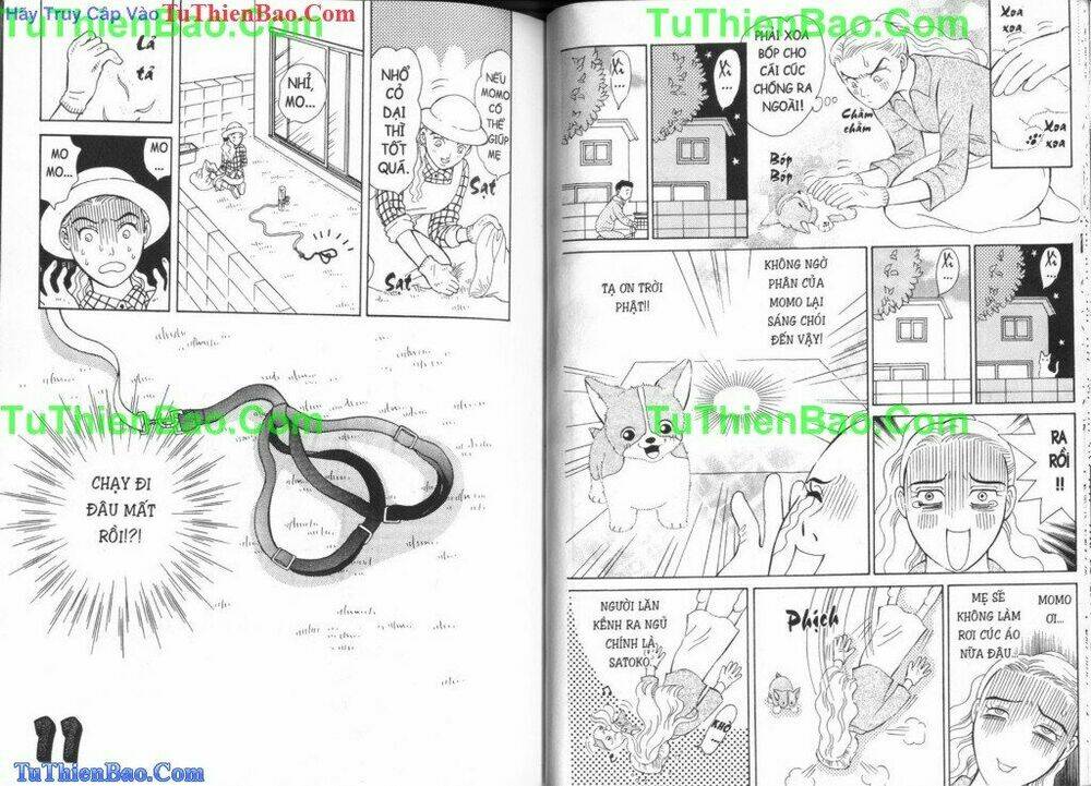chó con mo mo chapter 3 37