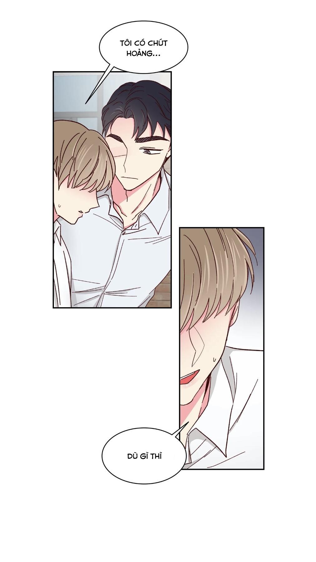 món tráng miệng của sếp tổng chapter 59 42