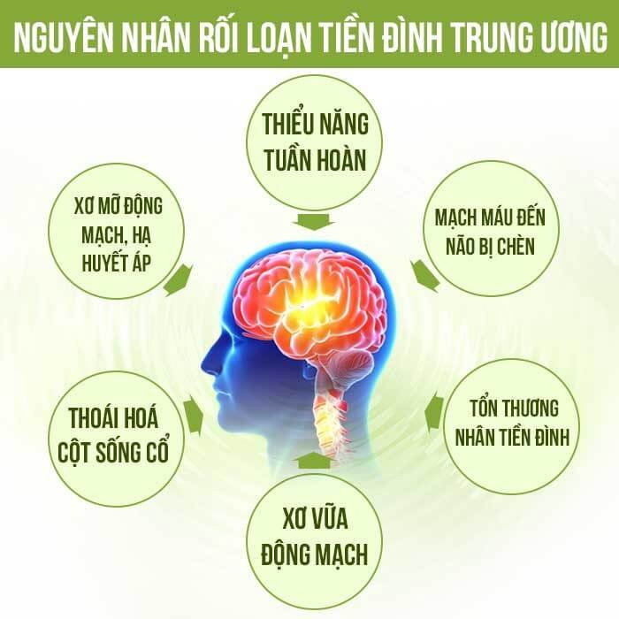 Viên Uống Bổ Não Hoạt Huyết TPN thành phần chính Ginkgo Biloba hỗ trợ cải thiện tuần hoàn máu,giảm đau đầu,ngủ ngon, tăng sức khỏe não bộ.