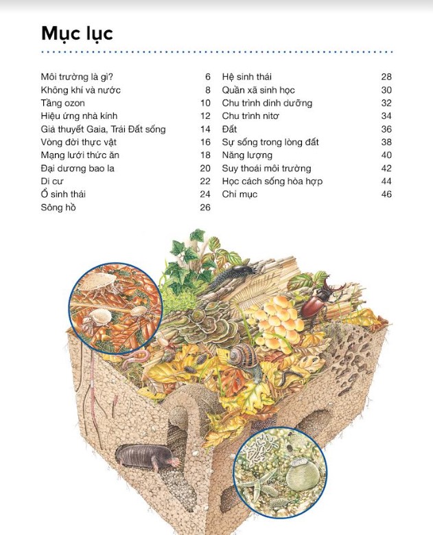 Hành Trình Khám Phá - Môi Trường