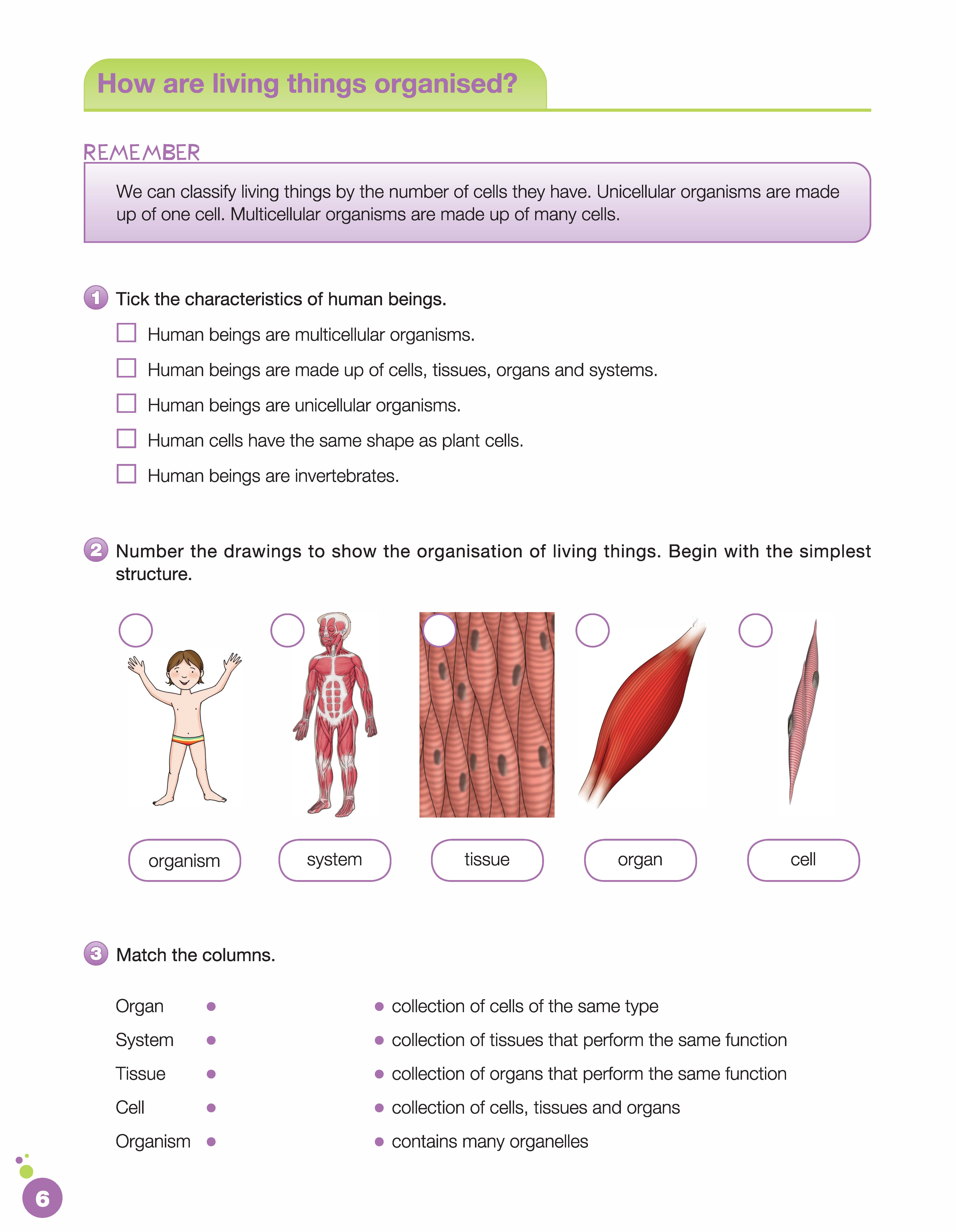 i-Learn Smart Science 5 Activity Book