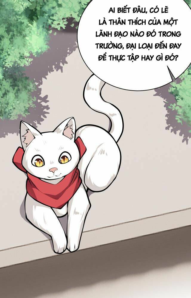 vạn vật hợp nhất chapter 13 28