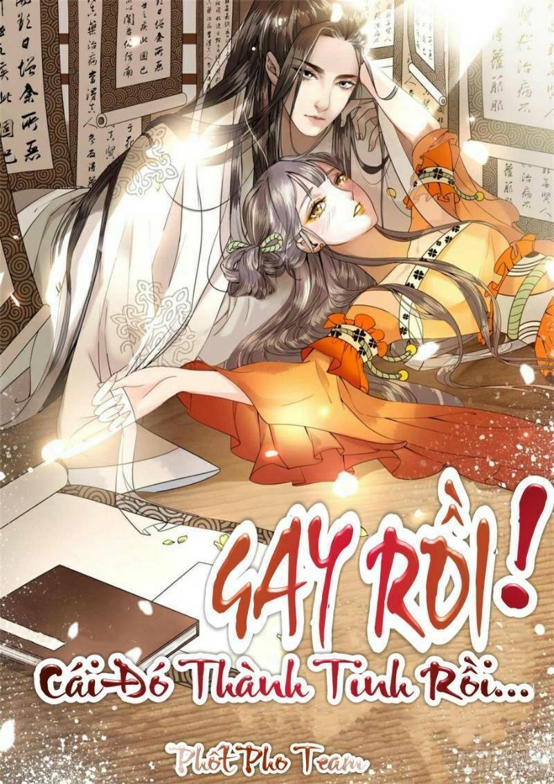gay rồi! cái đó thành tinh rồi chapter 49 1