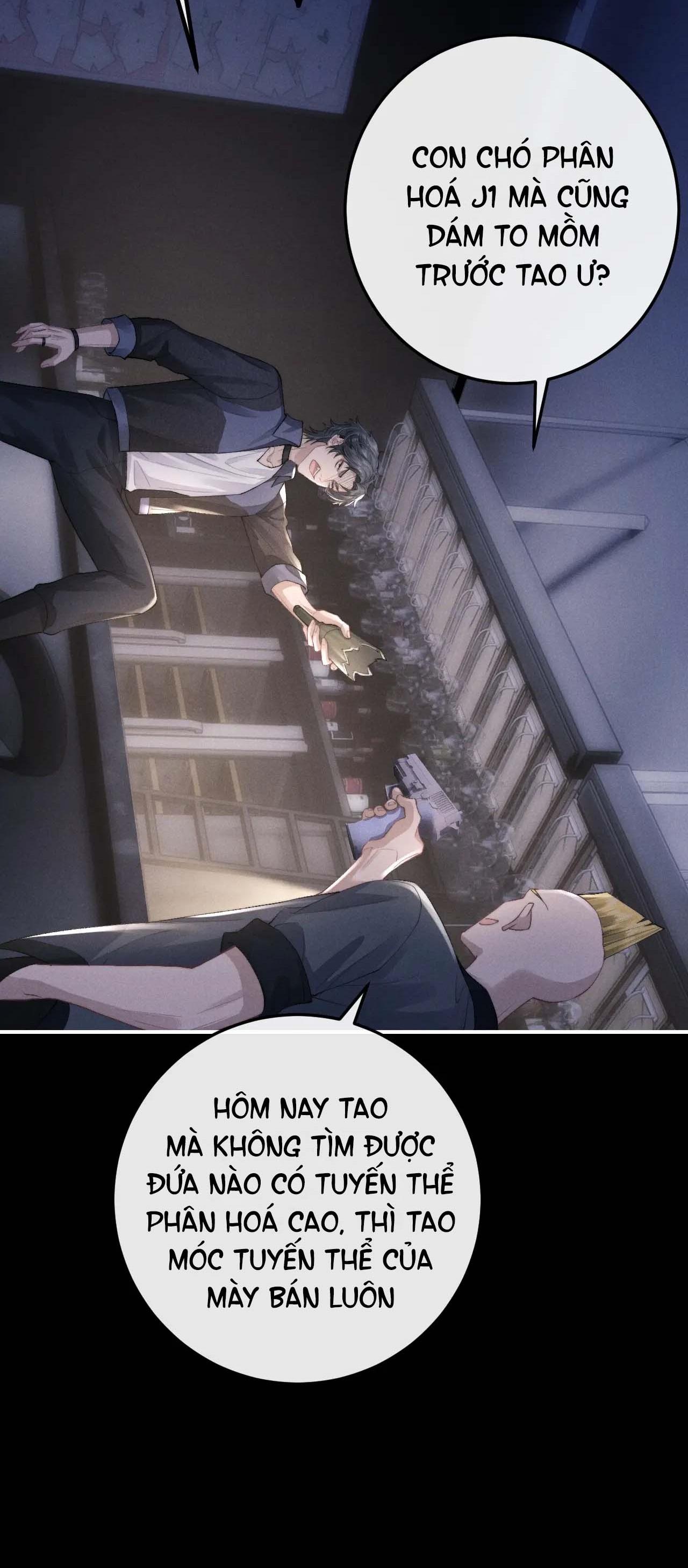 chấp sự thỏ tai cụp chapter 37 12