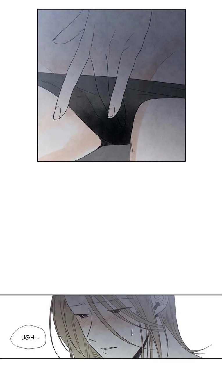 summer solstice point chapter 3 8