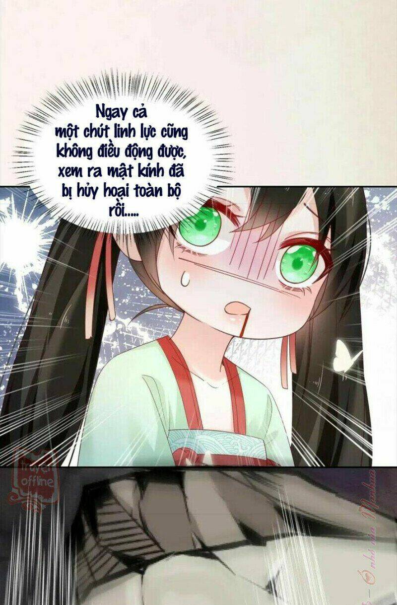 hắc hóa nam chính trực tuyến nuôi thỏ chapter 54 32