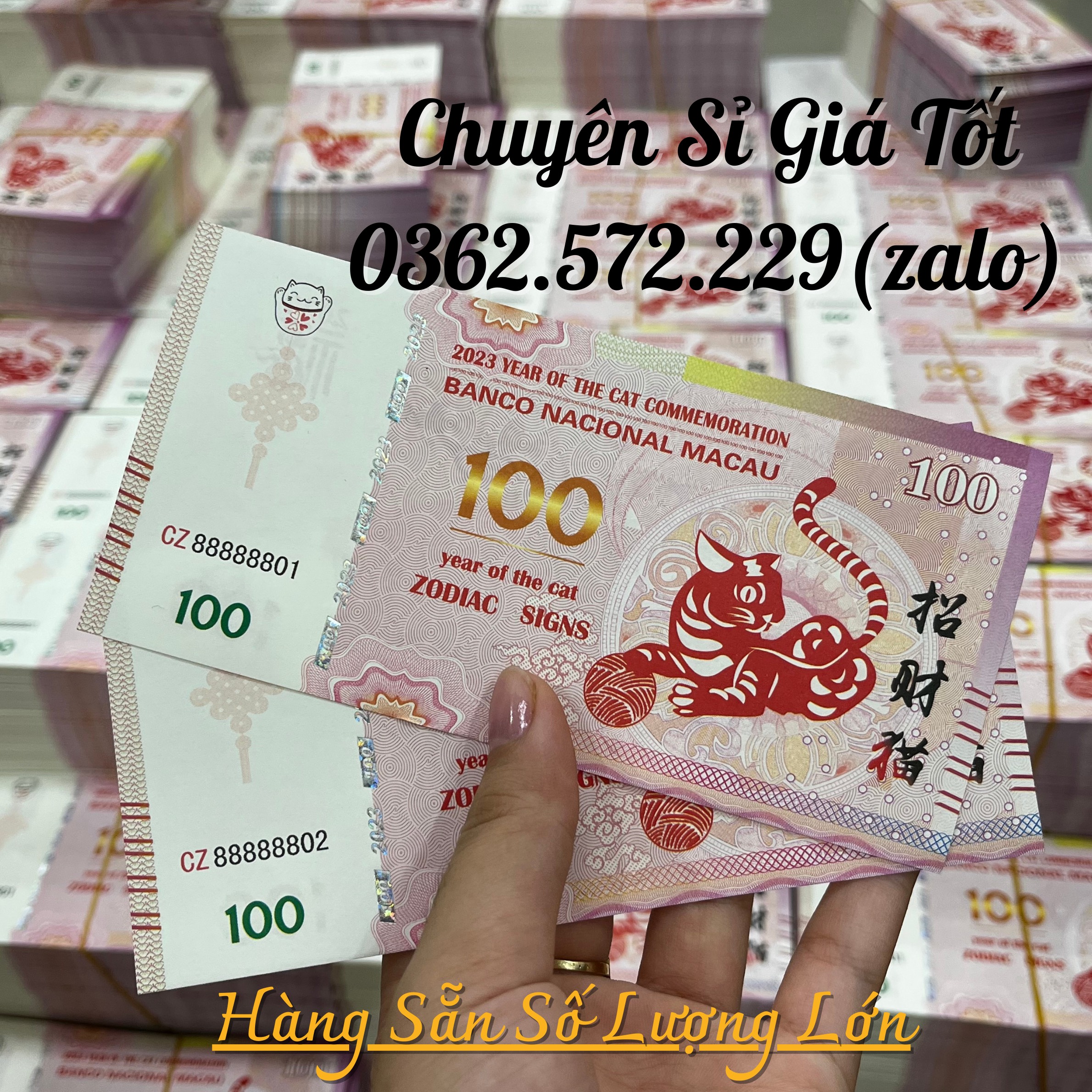 Tiền con Mèo Macao lưu niệm năm Qúy Mão 2023 Lì Xì Tết Mệnh Gía 100
