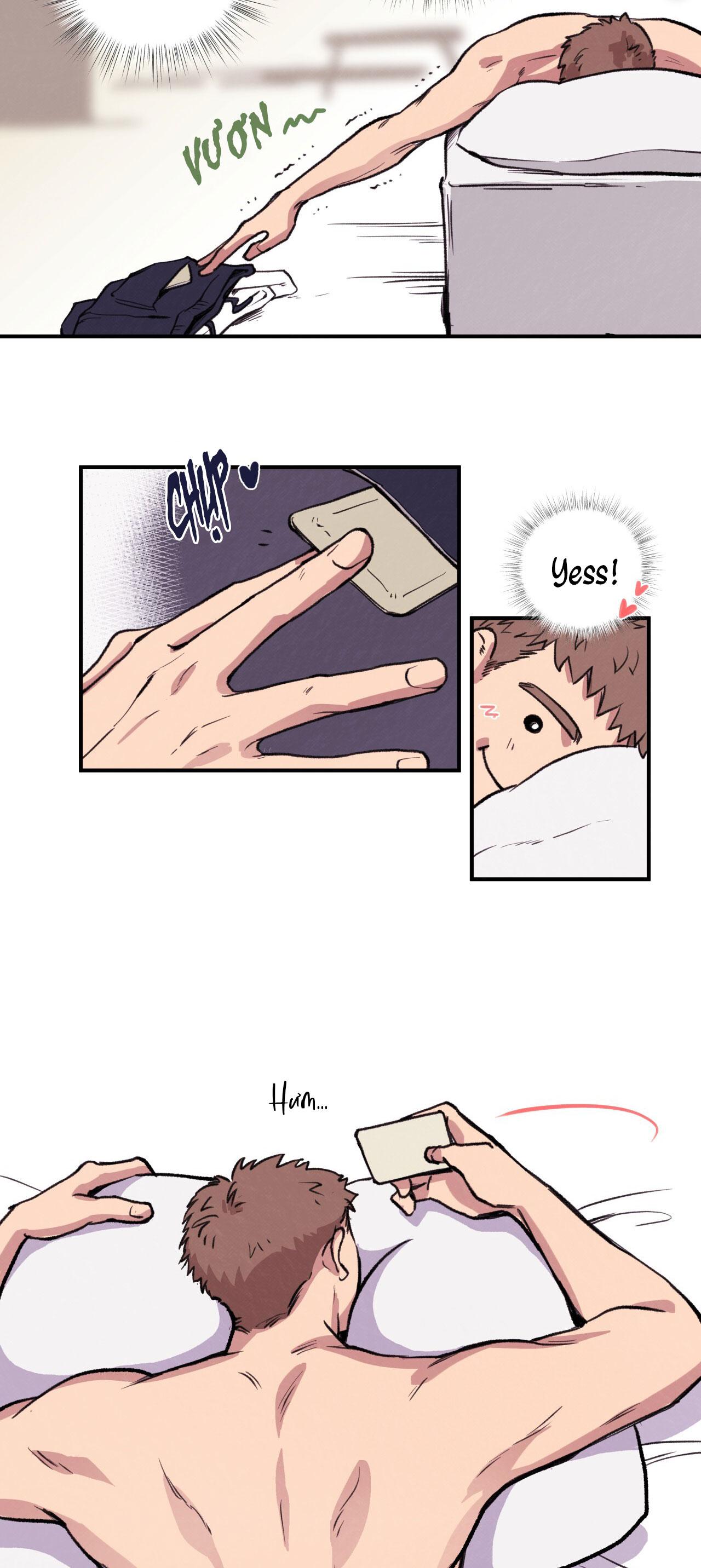 mật gấu chapter 1 44