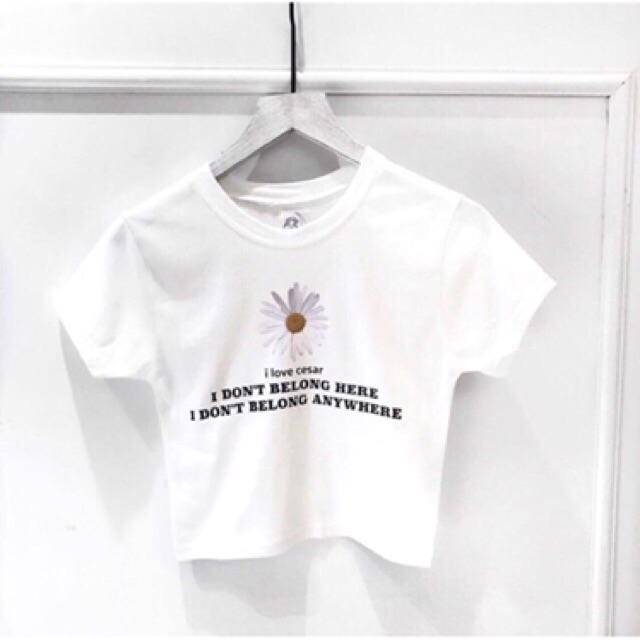 Áo croptop ôm thêu hoa cúc,