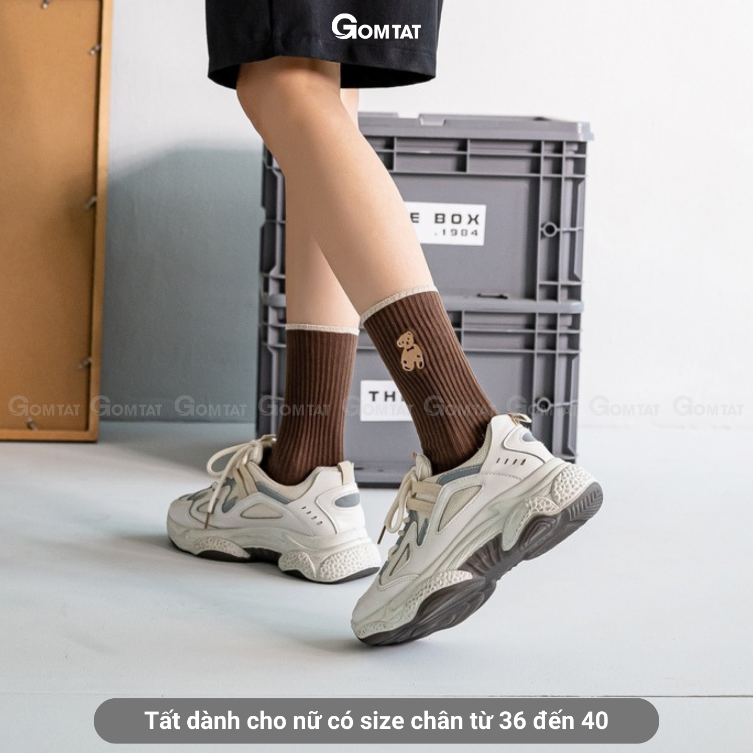 Set 5 đôi tất vớ nữ cổ cao GOMTAT mẫu hình gấu cao cấp, chất liệu dày dặn, hút ẩm, thoáng khí chống mùi - COCAO-HINHGAU