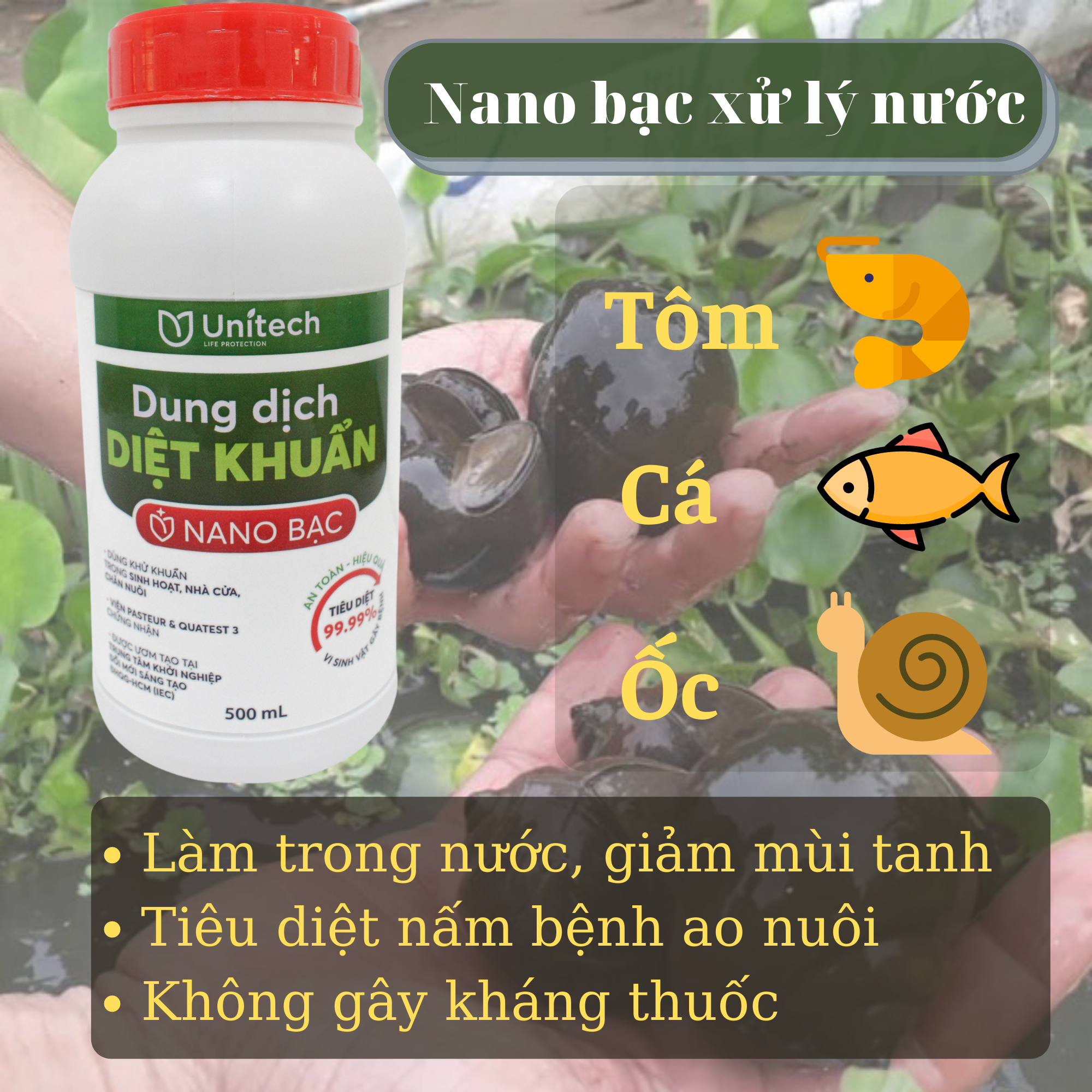 Nano bạc diệt khuẩn Unitech | Phòng bệnh tôm cá, ốc bươu, cá kèo, xử lý nước ao nuôi