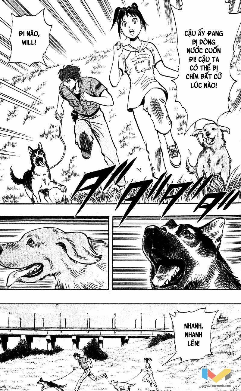 animal sense chapter 4 19