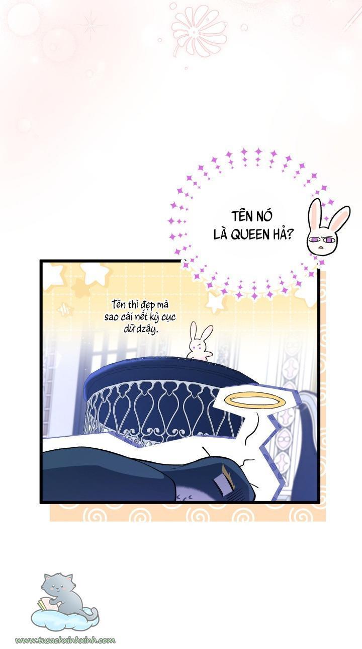 quan hệ cộng sinh giữa báo đen và thỏ trắng chapter 55 11