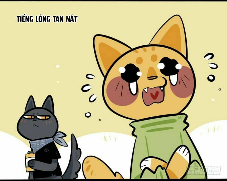 đời không như mình tưởng chapter 16 12