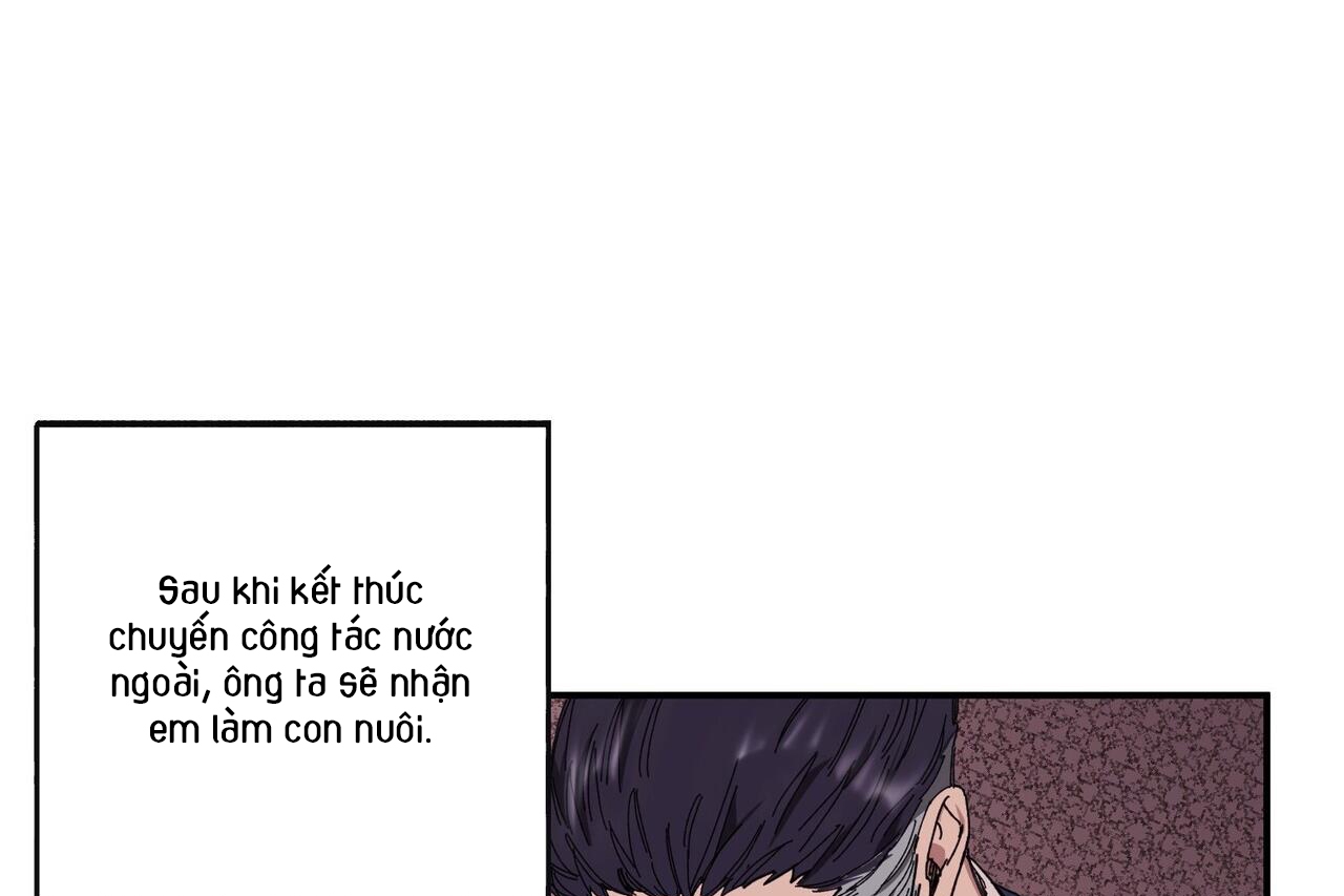 chàng dâu nhà họ kang chapter 33 147