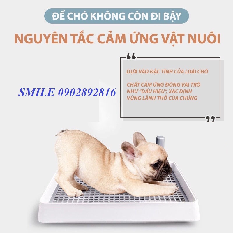 [MỚI VỀ] Dung Dịch Xịt Hướng Dẫn Chó Mèo Đi Vệ Sinh Đúng Chỗ ( 60ml )