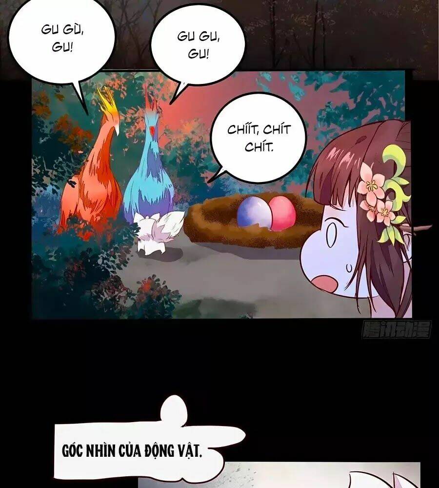 thần y khí nữ: ngự thú cuồng phi của quỷ đế chapter 70 6