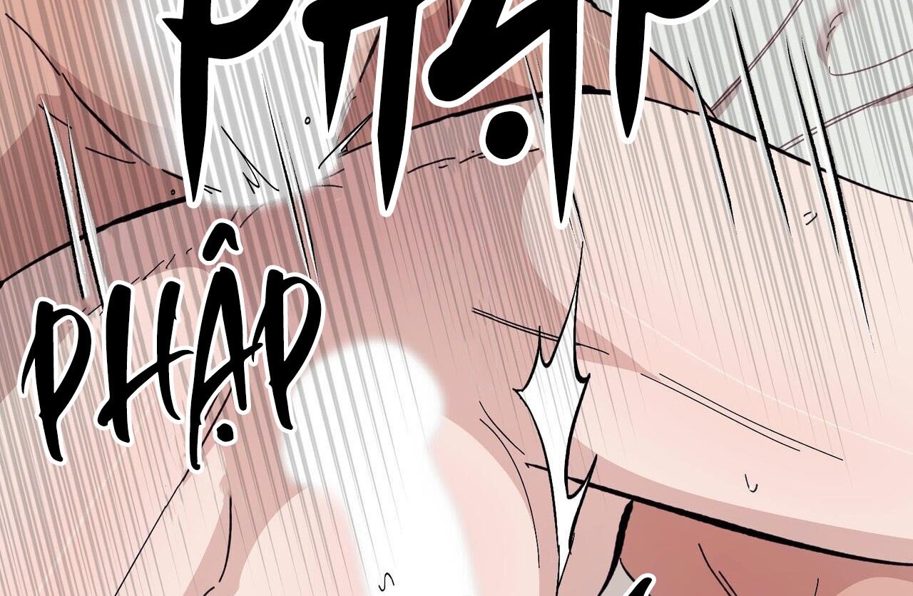 chàng dâu nhà họ kang chapter 46 115