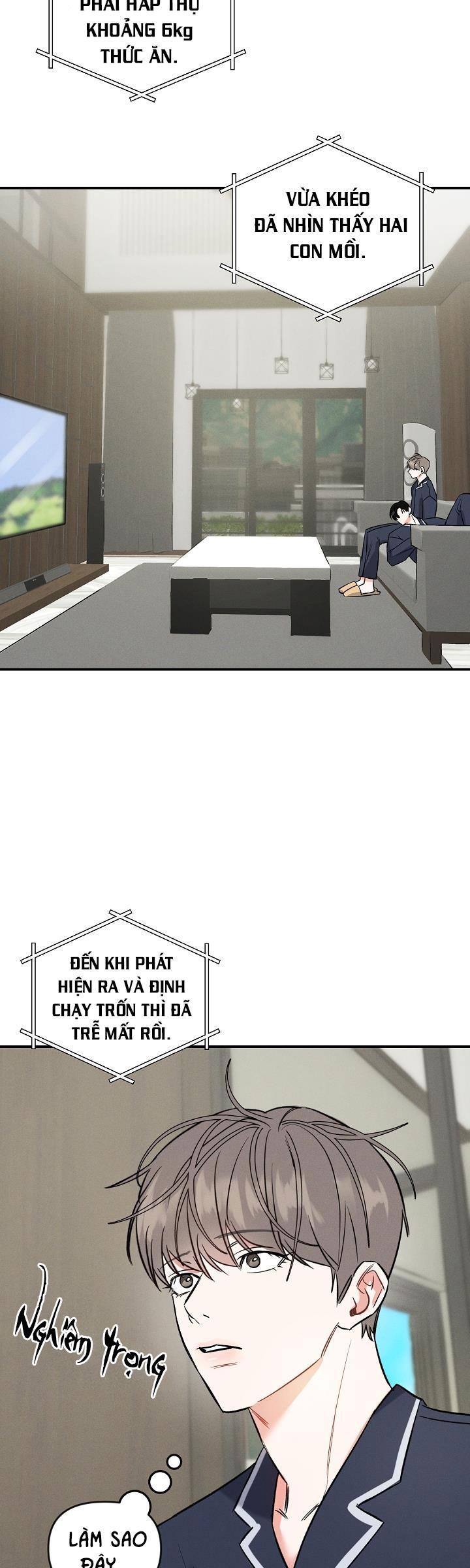 mặt trời của đêm chapter 13 8