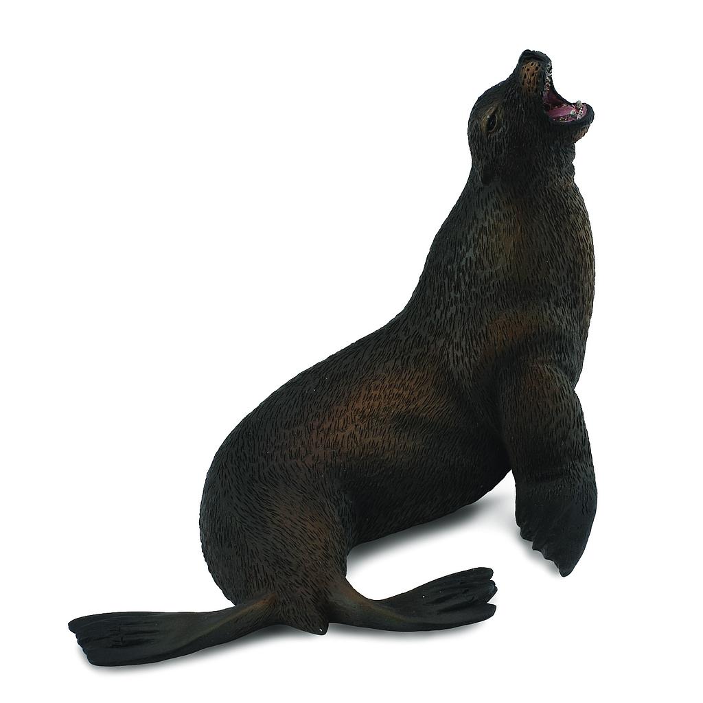 Mô hình thu nhỏ: Sư Tử Biển - Sea Lion, hiệu: CollectA, mã HS 9652070 - Chất liệu an toàn cho trẻ - Hàng chính hãng