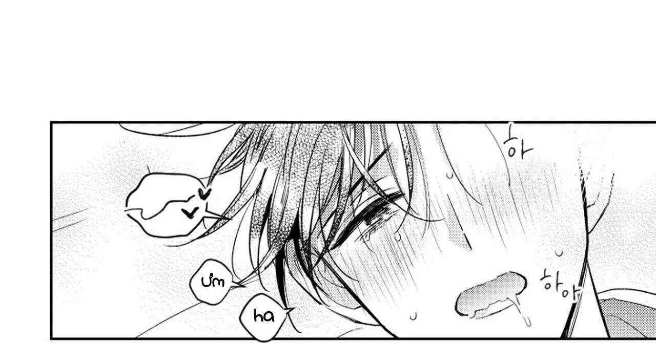 kẻ lừa đảo ngọt ngào chapter 3 82