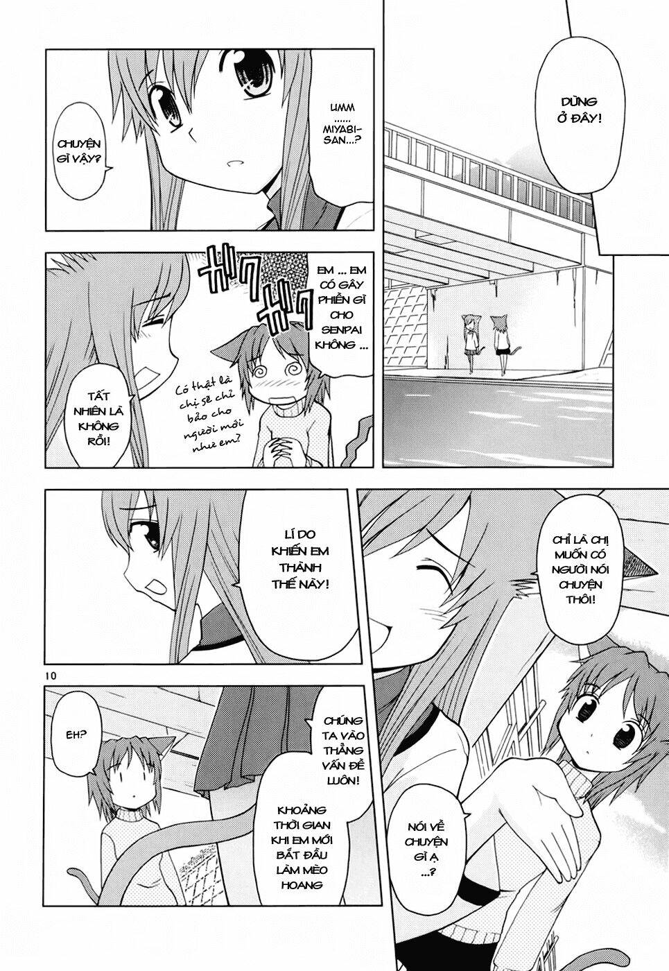 koi neko chapter 25 11