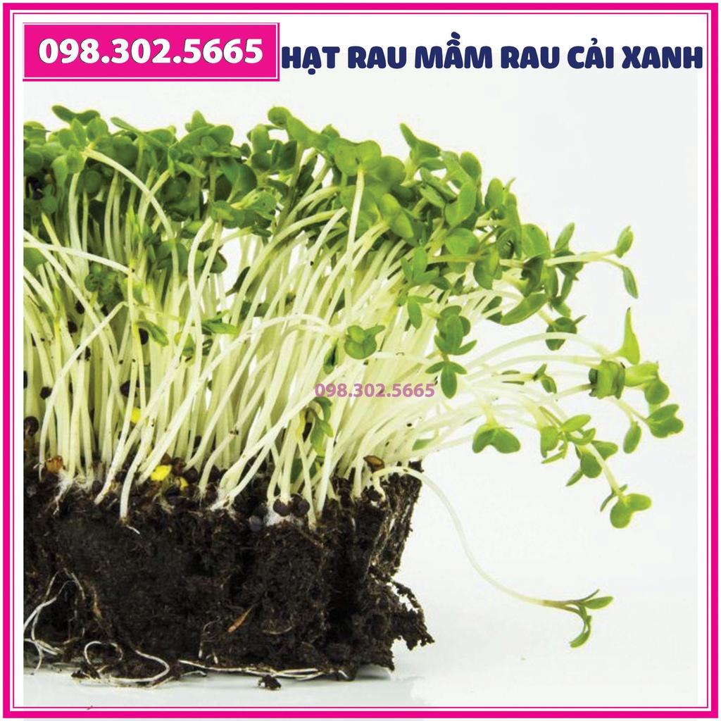 Bộ 2 gói Hạt rau mầm rau cải xanh - gói 50g - Trồng rau mầm sạch, rau mầm hữu cơ an toàn tại nhà