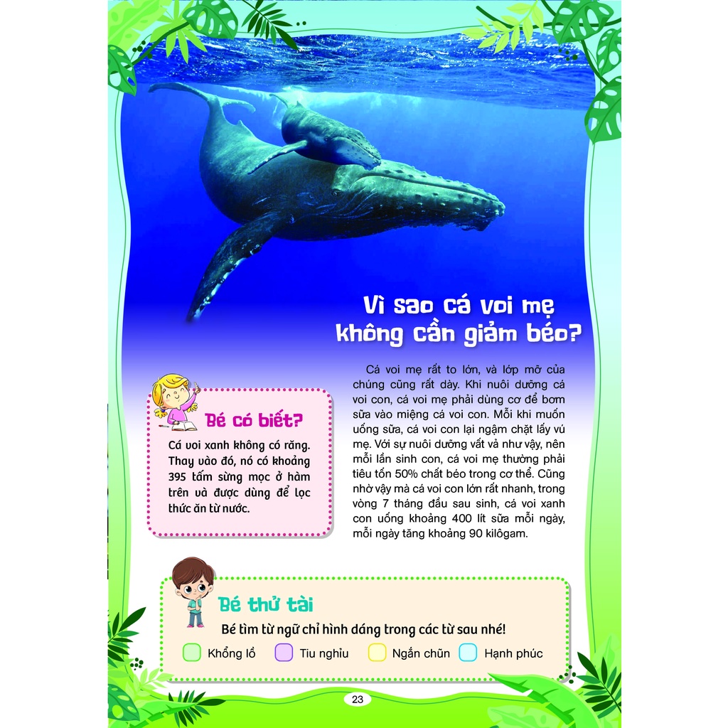 Sách Phát Triển Tư Duy Và Ngôn Ngữ Cho Trẻ - 10 Vạn Câu Hỏi Vì Sao - Cùng Trẻ Khám Phá Thế giới Xung Quanh(BC)