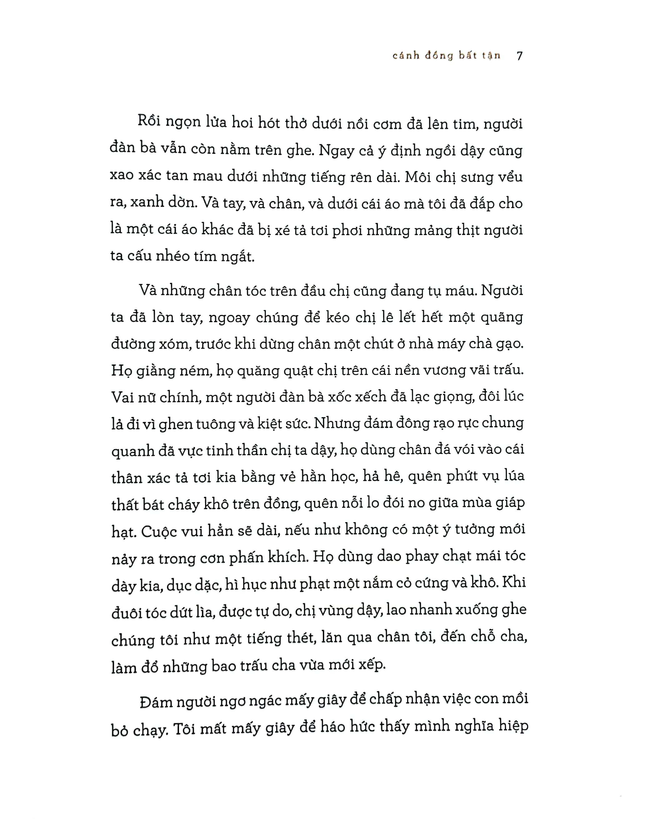 Cánh Đồng Bất Tận - Phiên Bản Đặc Biệt