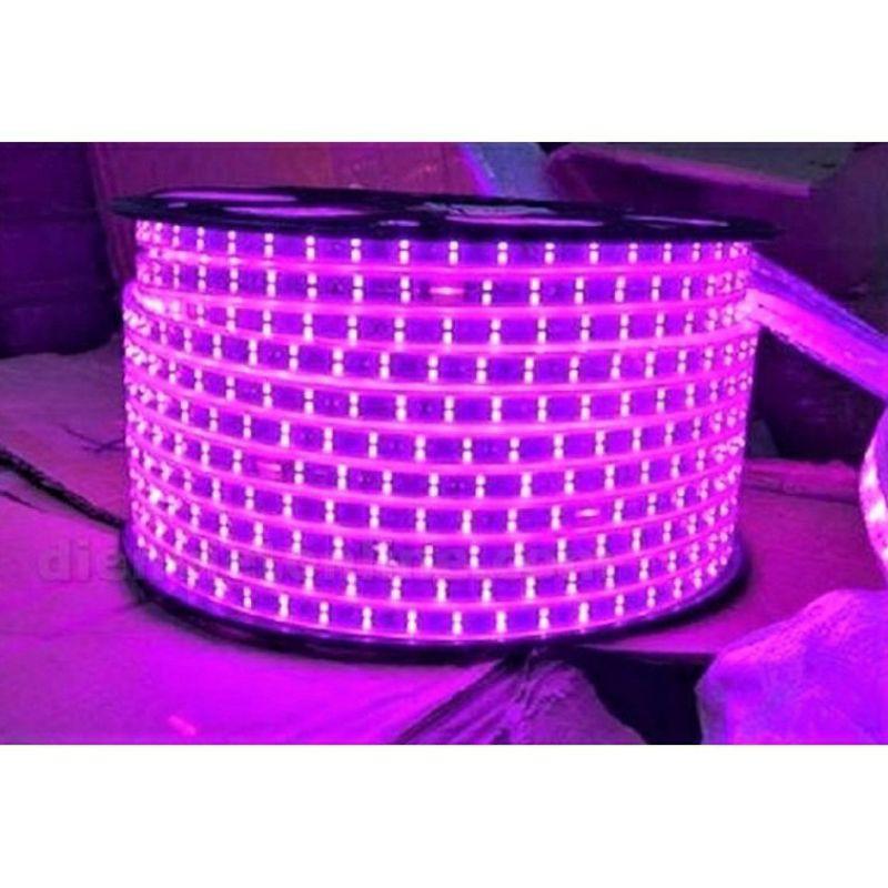 Led cuộn 2835 100 m 2 đường bóng