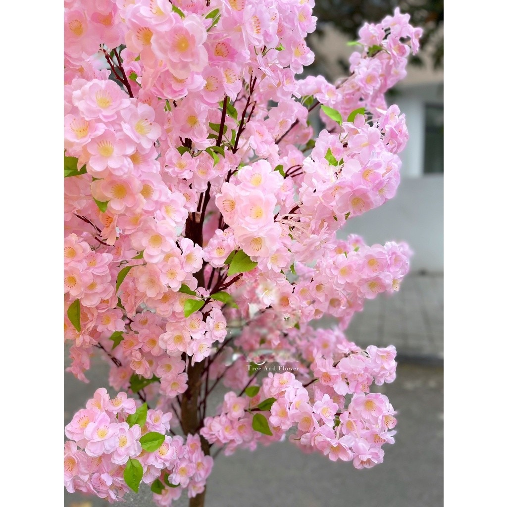 Cây hoa anh đào giả - cây hoa mai giả - Size 140cm đến 180cm - Cây giả, hoa lụa Decor trang trí nhà cửa