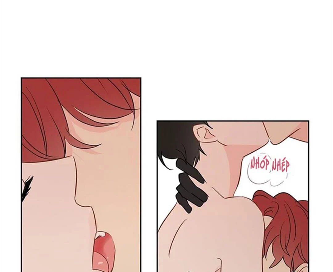 chuyện quái gì với giấc mơ đó vậy chapter 36 146