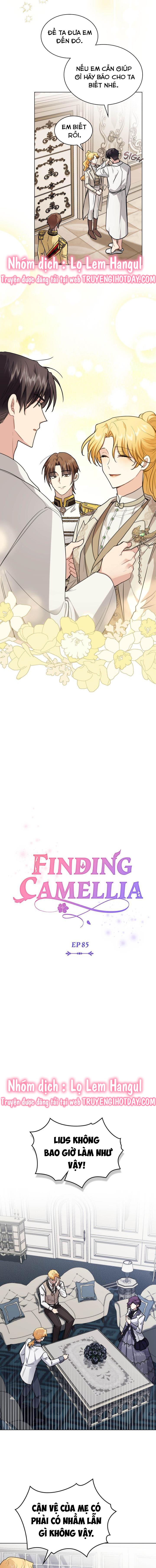 đi tìm nàng camellia chapter 85 6