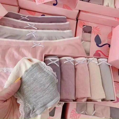 Combo 5 chiếc quần lót đóng hộp thiên nga