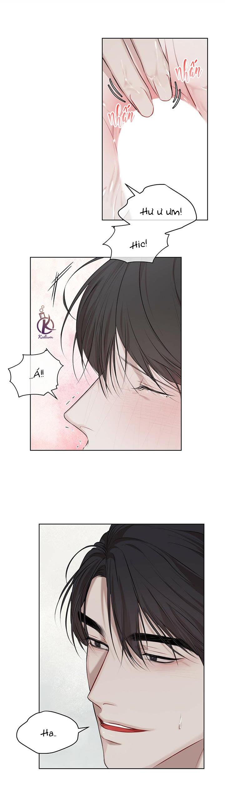 hình thái khởi sinh chapter 19 11