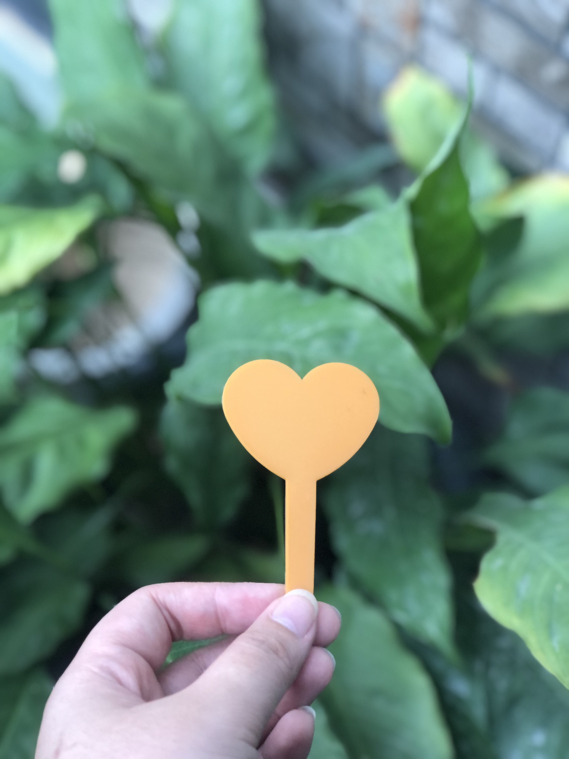 Thẻ ghi tên hoa kiểng, lan dạng cắm hình trái tim - bịch 100 cái