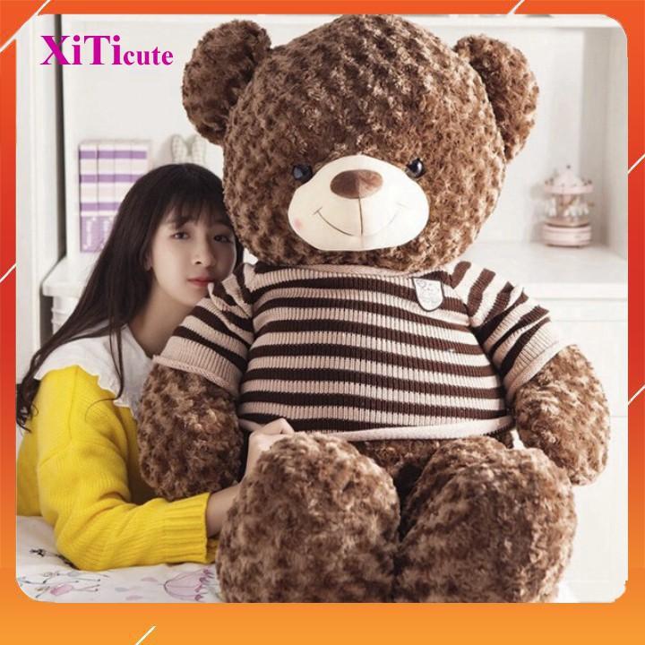 Thú nhồi bông gấu Teddy SIÊU TO khổng lồ dùng để làm quà tặng người thương, gối ôm hoặc vật trang trí trong nhà