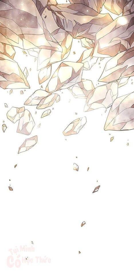 năm môn đệ của charlotte chapter 33 50