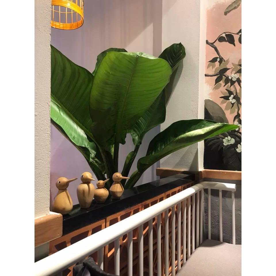 ĐỒ CHƠI CHIM GỖ AN TOÀN CHO BÉ
