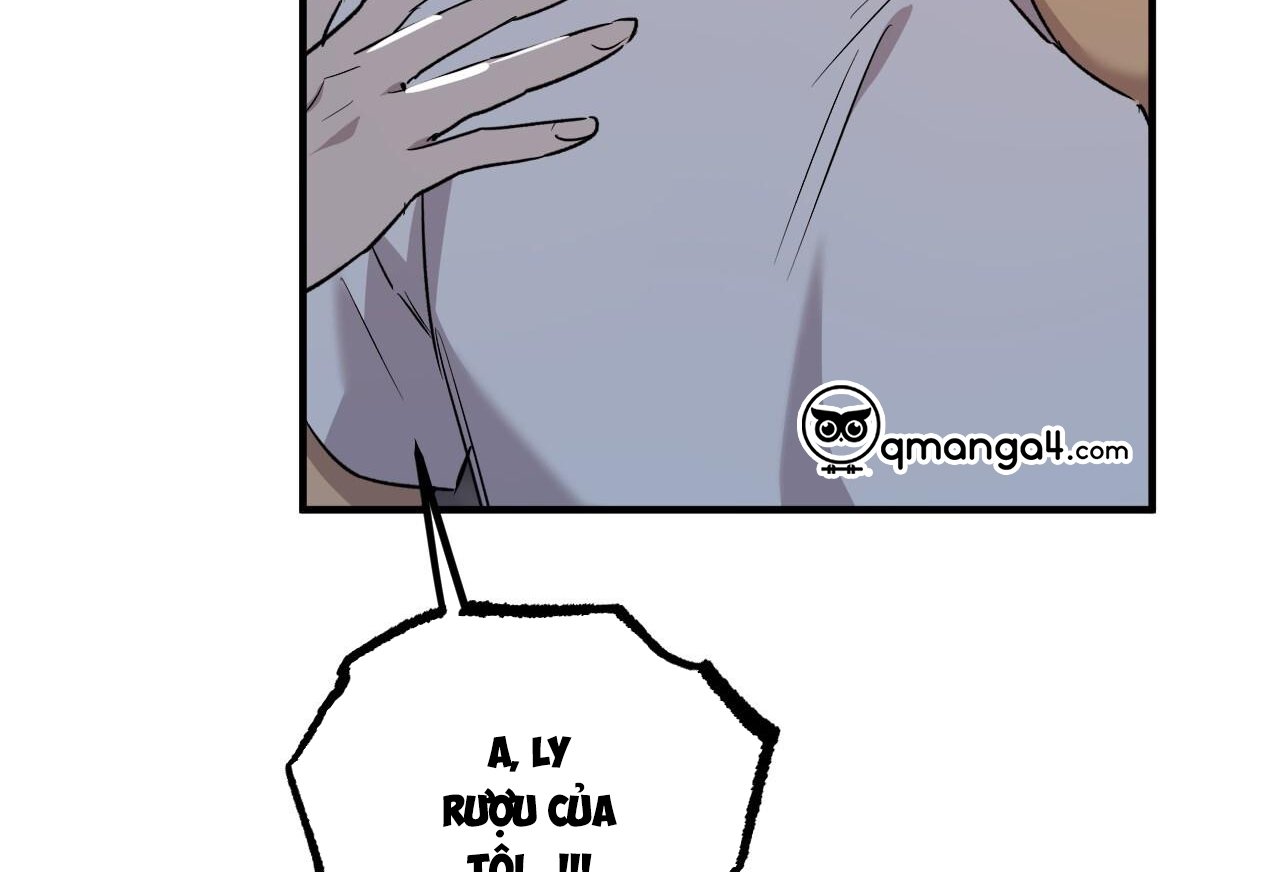 những chú thỏ của hapypy chapter 58 17