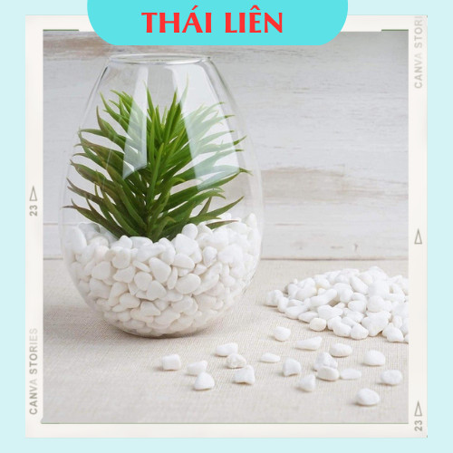 (1 Kg) Sỏi Trắng Cao Cấp Dùng Trải Nền Trang Trí Chậu Cây, Sân Vườn, Bể Cá, Tiểu Cảnh Terrarium