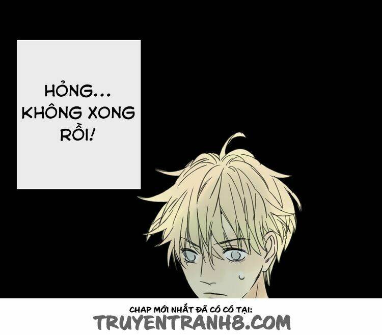 stardom chapter 4 50