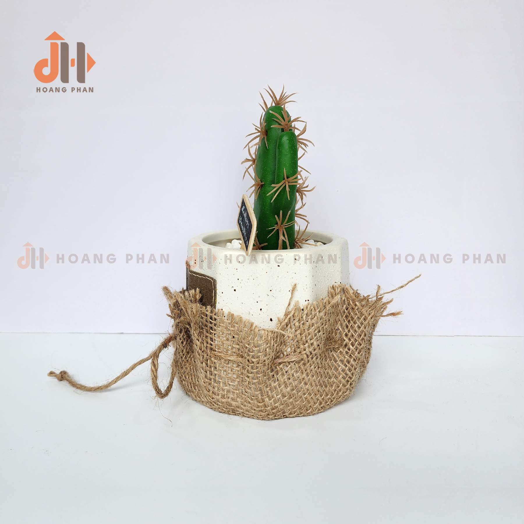 Trụ xương rồng lục giác vĩnh cửu trang trí