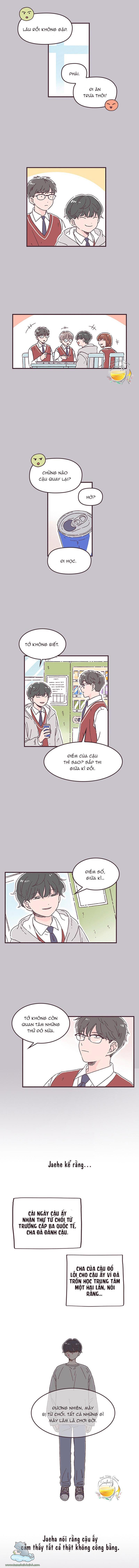 ngày định mệnh của đôi ta chapter 29 11