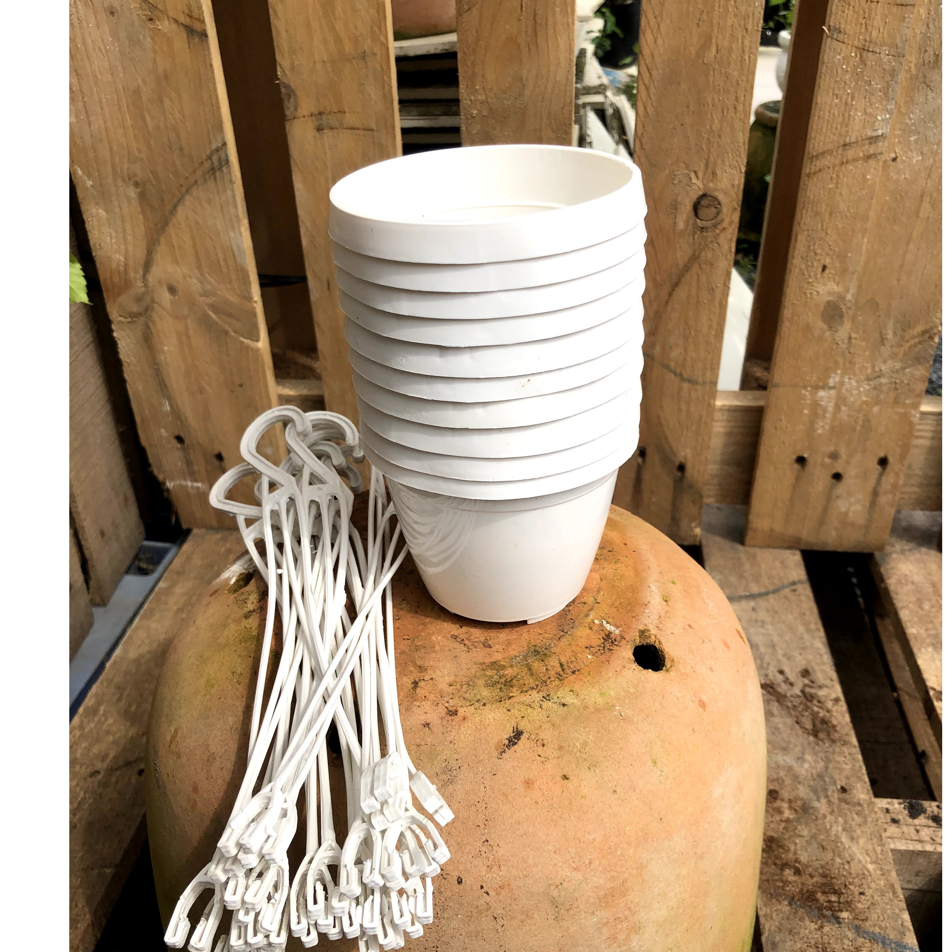 Bộ 10 chậu treo trồng cây fi 10 cm x 8,5cm