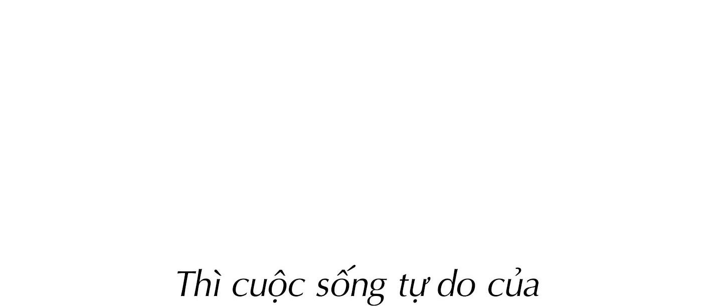 alpha mặt hàng không thể trả chapter 4 18