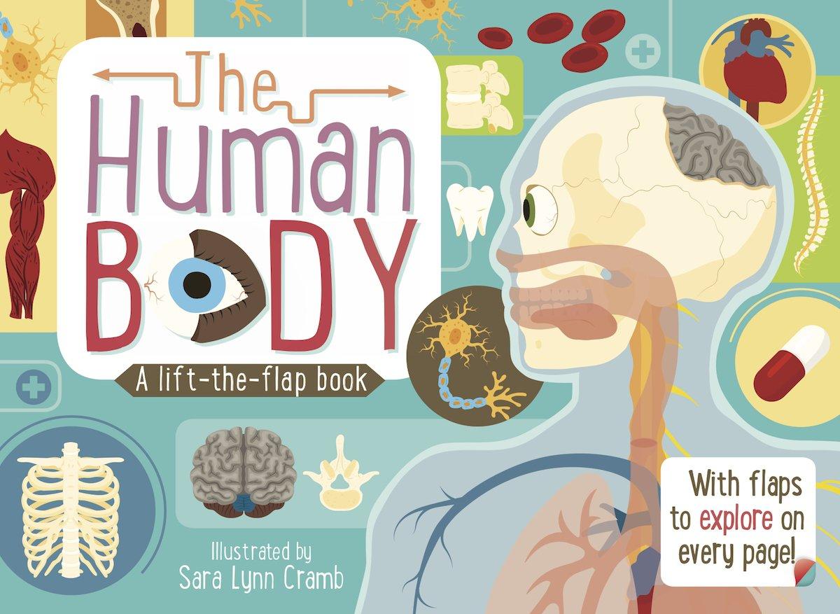 Lift The Flaps: Human Body - Sách lật mở: Cơ thể con người